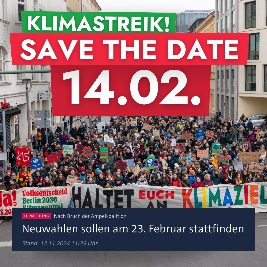 Media Bild FFF Klimastreik 14.02.25